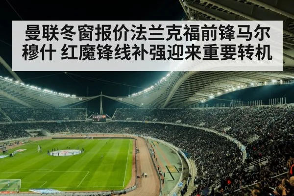 soccer stadium crowd